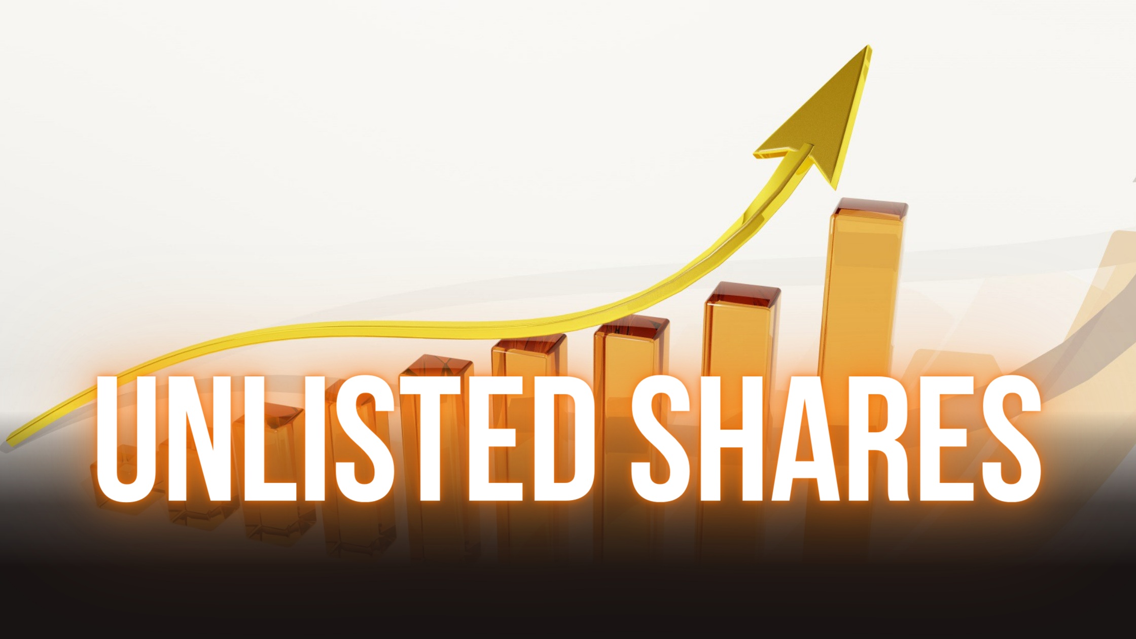 Unlisted Shares Investment